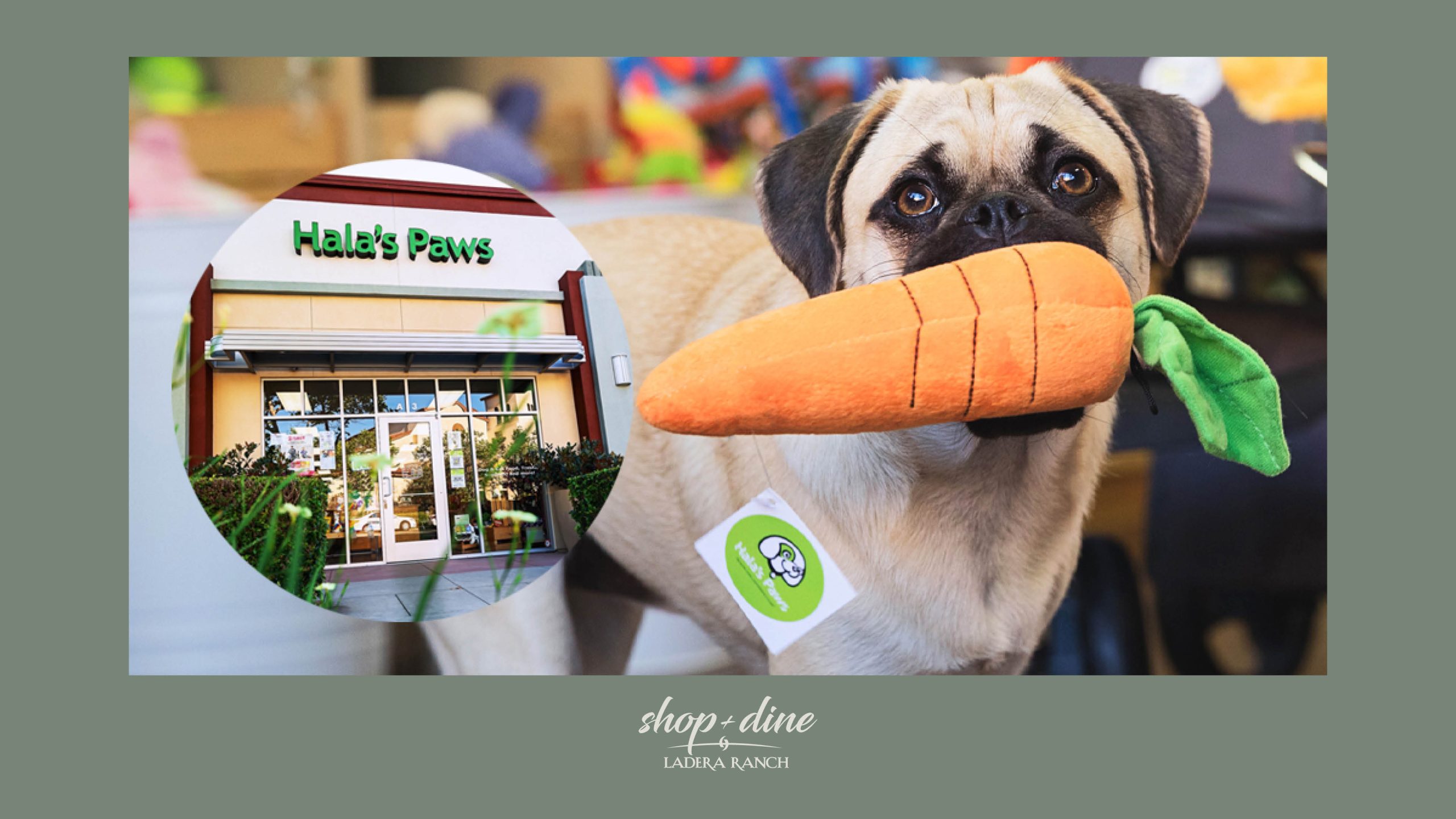 Enjoy $5 Off Any Purchase of $25 or more! Must mention Shop &amp; Dine Ladera Ranch offer icon